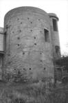 torre longa