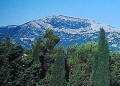 riserva naturale Monte Cammarata