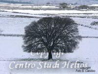 8Nevicata-del-26-01-2005007